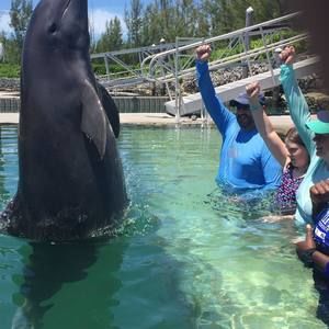 Meet your Posher, Billy-amy